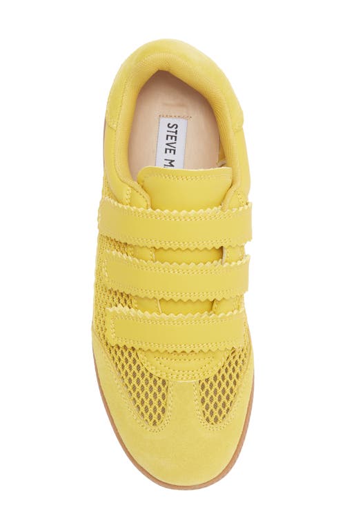 Steve Madden Momentum Sneaker In Yellow