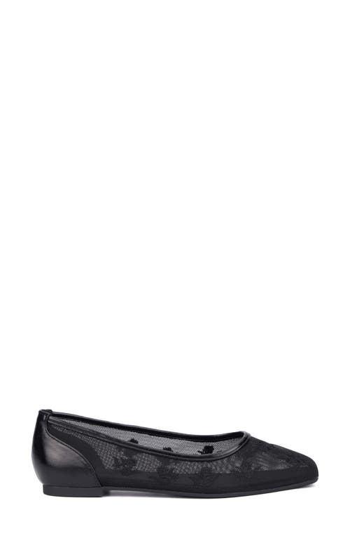 New York And Company Elisabette Mesh Flat In Black/black