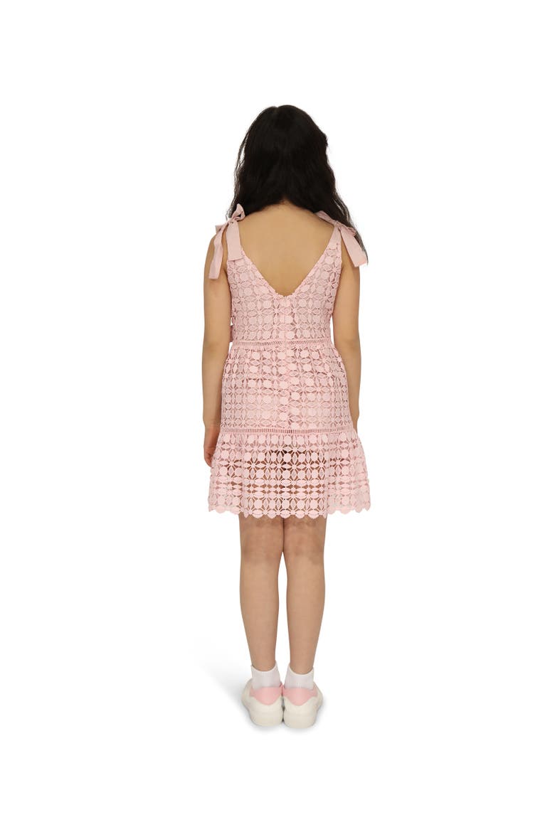 Rosy Mini Lace Dress, Alternate, color, Dusty Rose