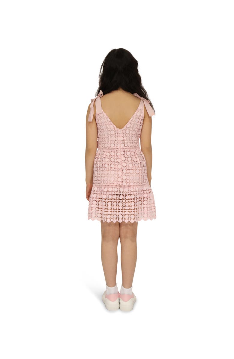 Belle & Bloom Rosy Mini Lace Dress, Alternate, color, Dusty Rose