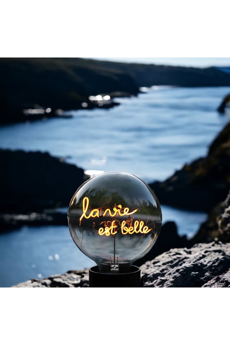 La Vie Est Belle Portable Table Lamp, Alternate, color, Emerald