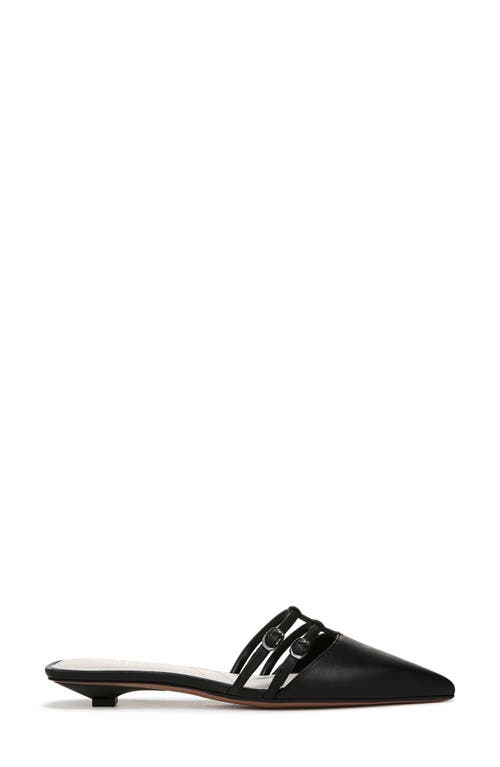 Franco Sarto Pia Pointed Toe Mule In Black