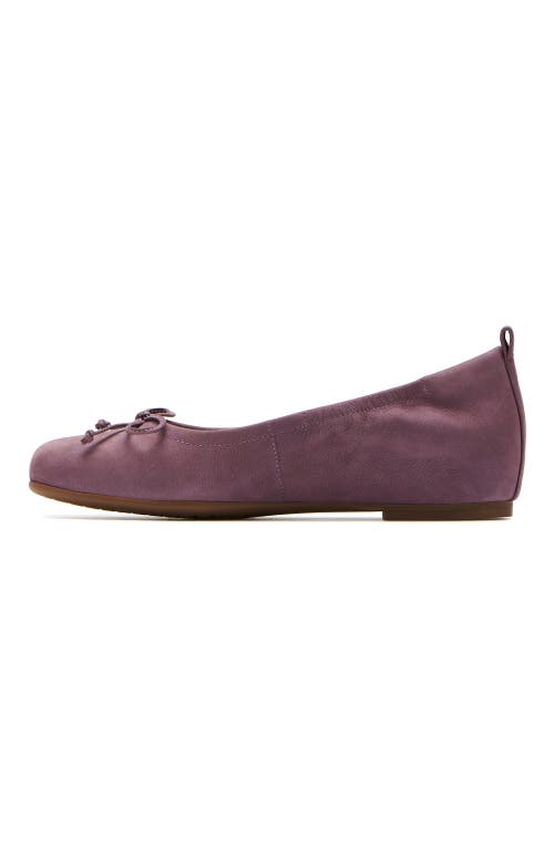 Abeo Cadence Bow Ballet Flat In Purple - Regular