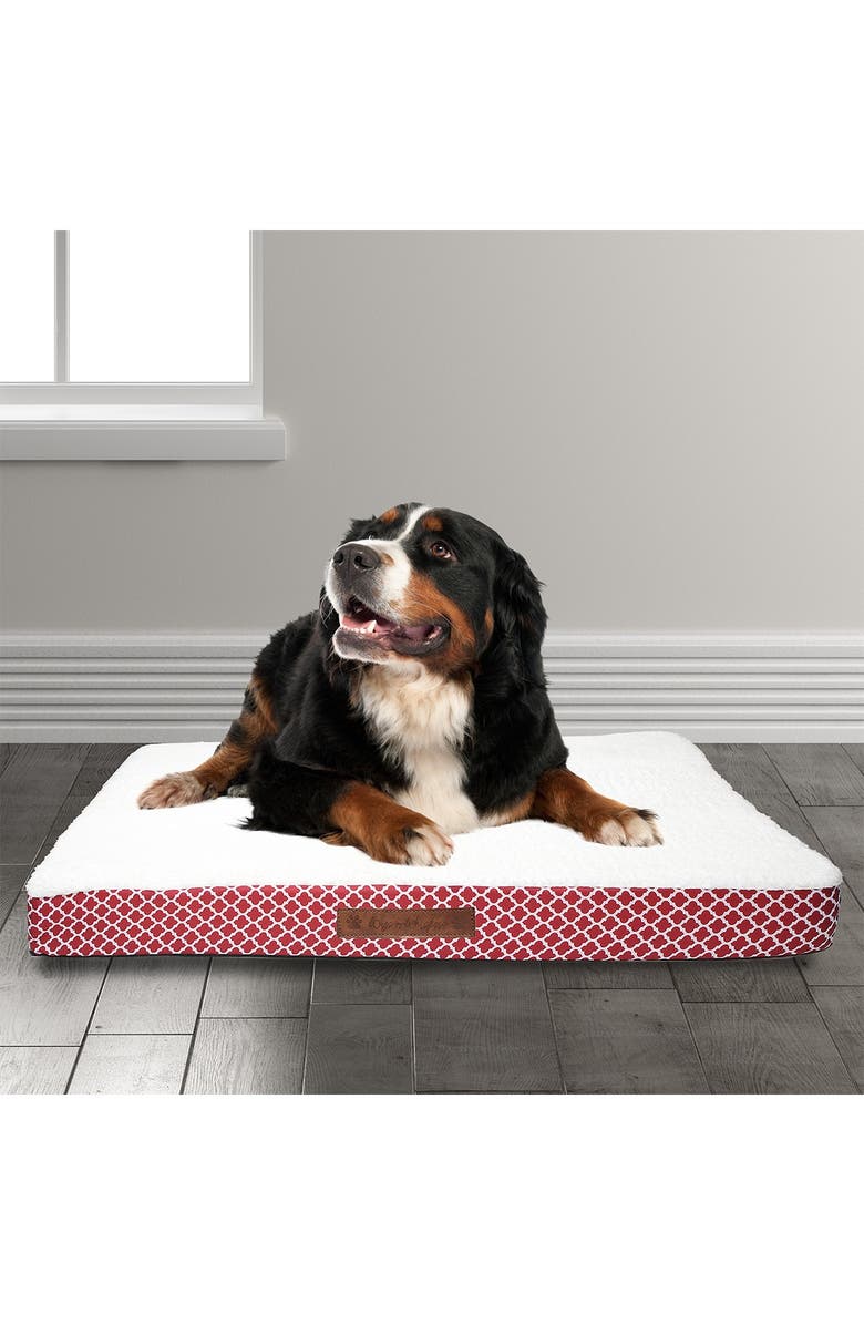 Duck River Textile Cezebel Trellis Large Orthopedic Memory Foam Pet Bed, Alternate, color, 