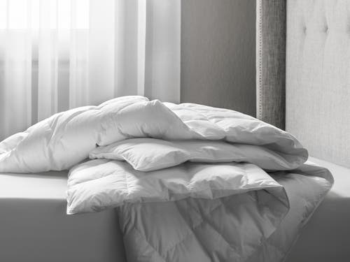 Togas Royal Goose Down Comforter In White