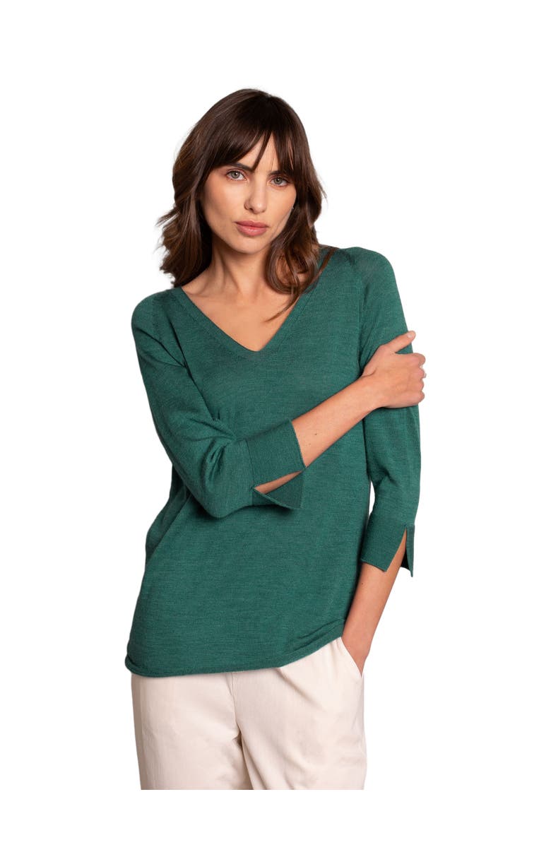 Celtic & Co. Fine Knit Merino V-Neck Sweater, Alternate, color, 