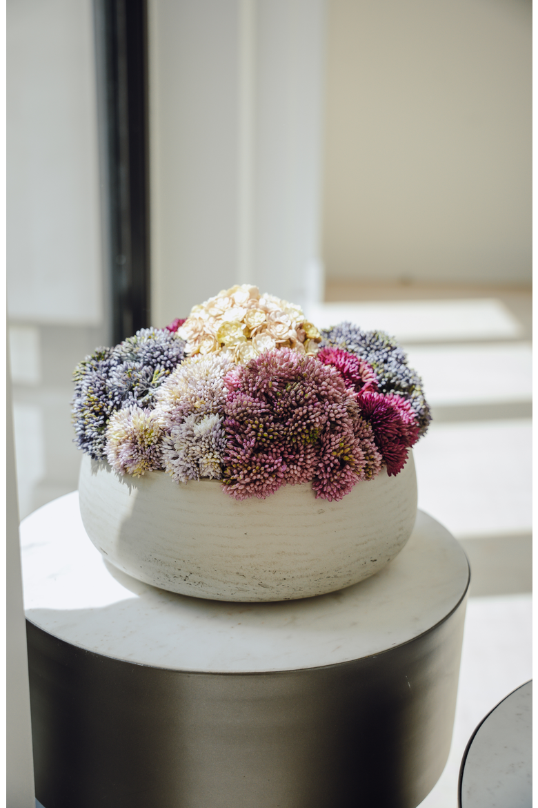 Deveraux Sedum Arrangement, Alternate, color, Multi-Color