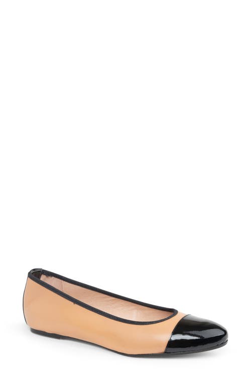 patricia green Adele Cap Toe Wedge Pump in Beige/Black Patent 