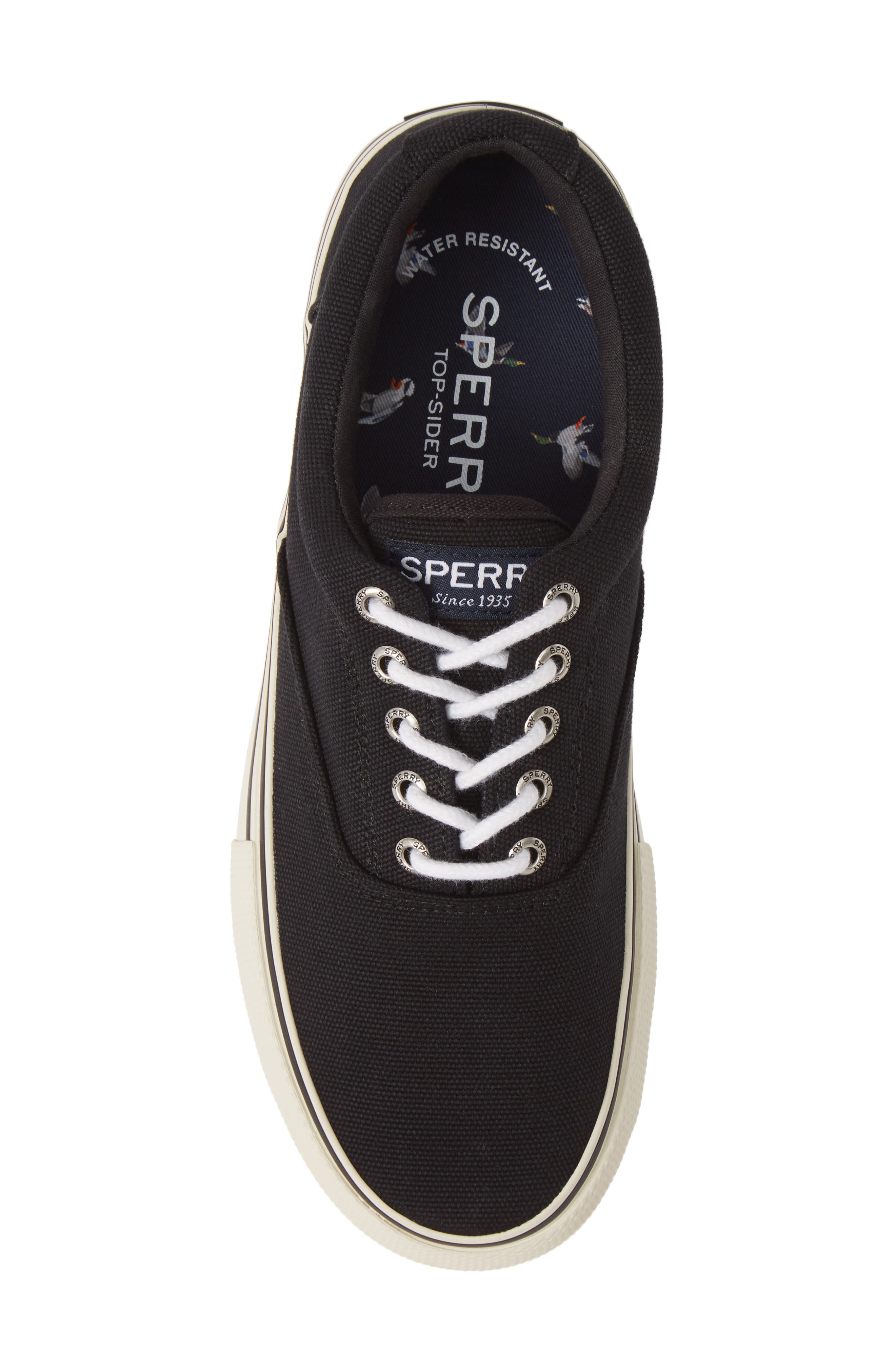 Sperry Striper Storm CVO Sneaker, Alternate, color, 