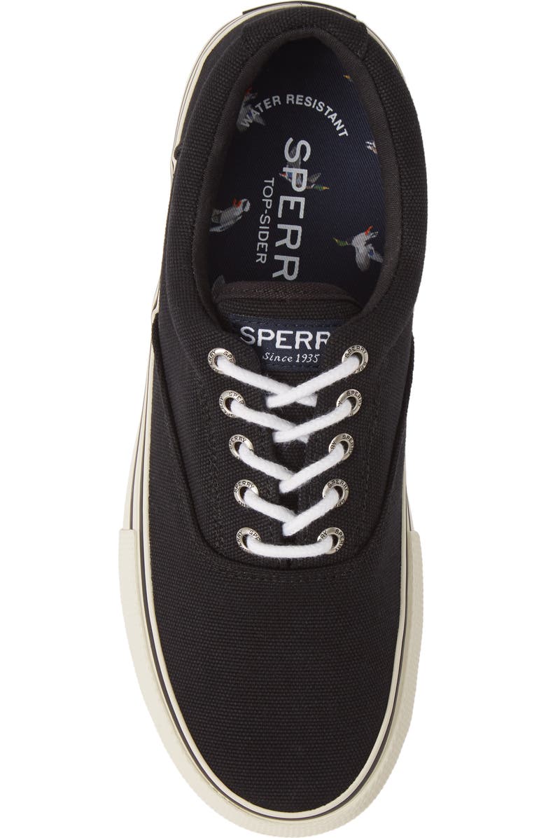 Sperry Striper Storm CVO Sneaker, Alternate, color,