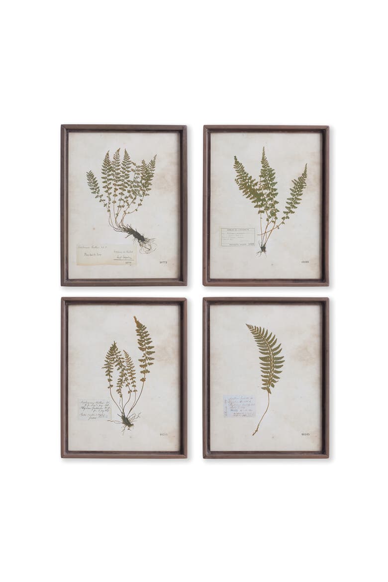 Petite Frond Prints Set of 4, Main, color, Off-White