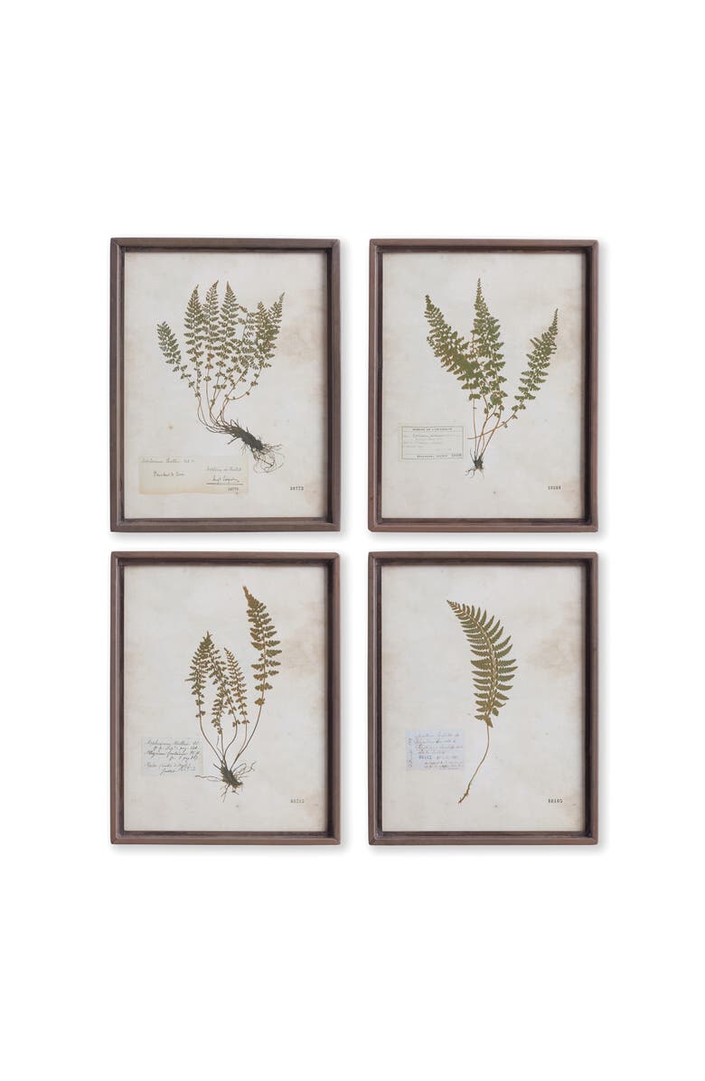 Napa Home & Garden Petite Frond Prints Set of 4, Main, color, Off-White