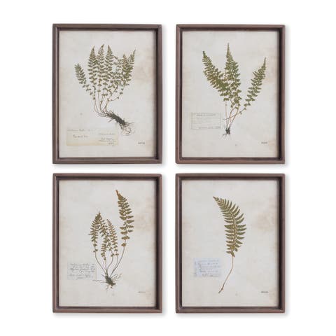 Petite Frond Prints Set of 4