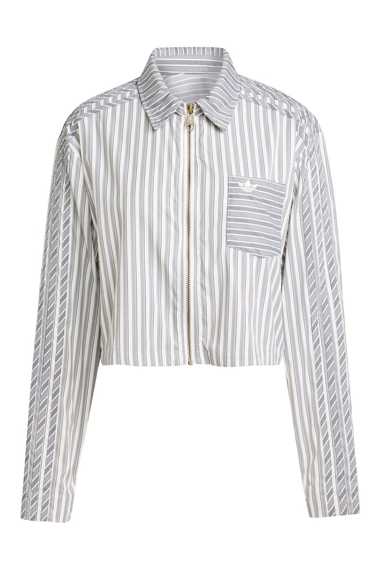 Stripe Crop Zip-Up Shirt (Women) | Nordstrom