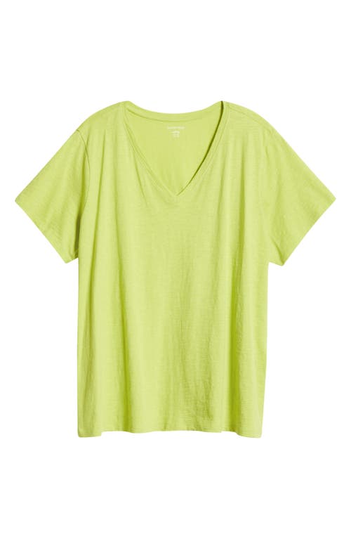 Eileen Fisher Easy V-neck Organic Cotton T-shirt In Chartreuse