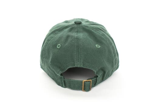 Rey To Z Papa Hat In Green