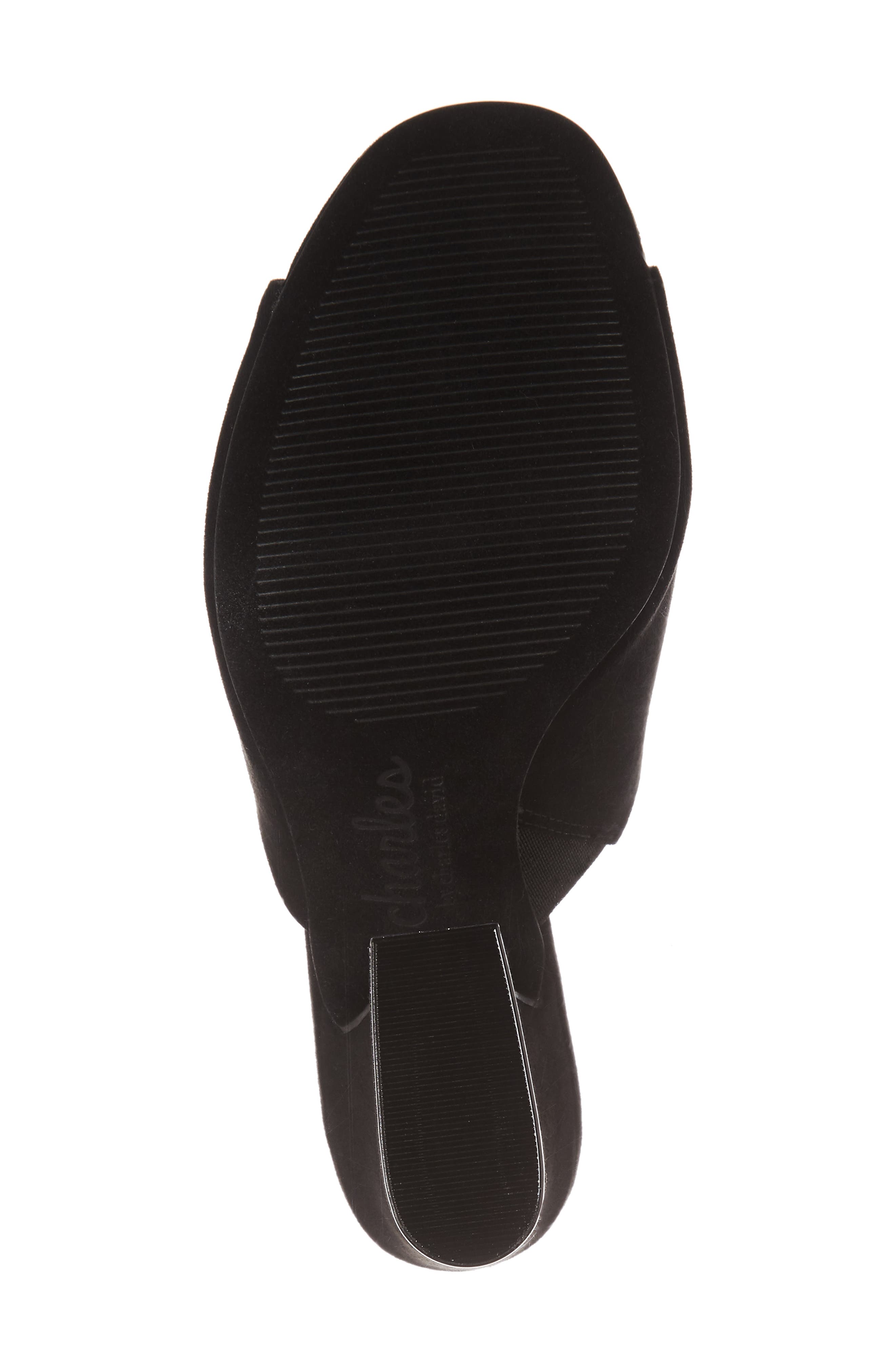 Charles by Charles David Hector Mule, Alternate, color, 