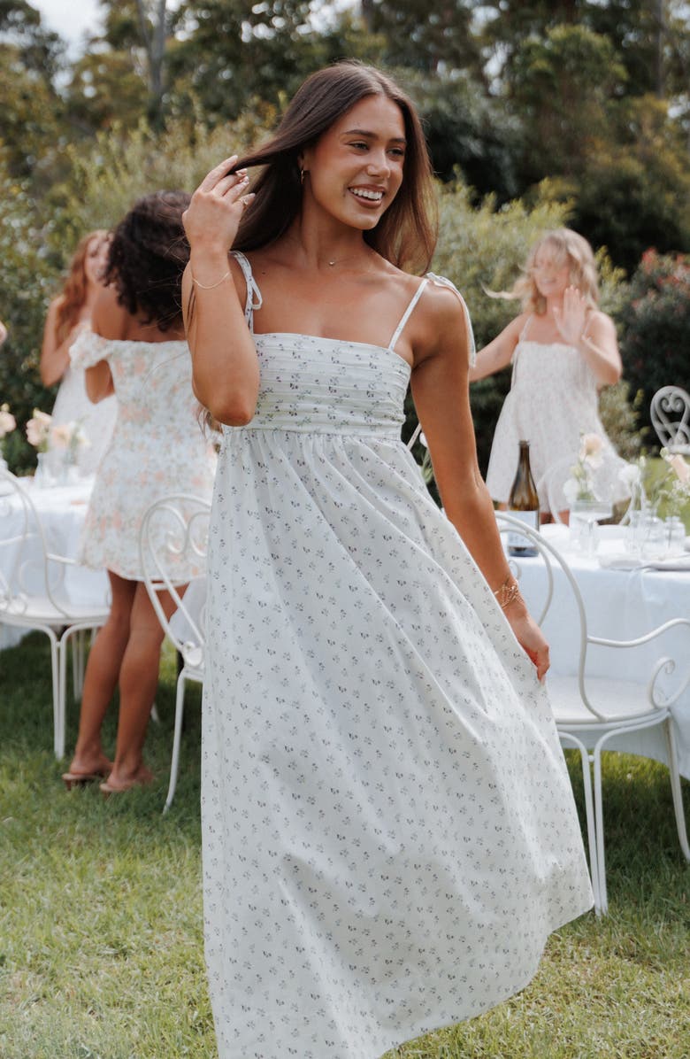 Petal & Pup Ashtyn Pleated Bodice Maxi Sundress, Alternate, color, 
