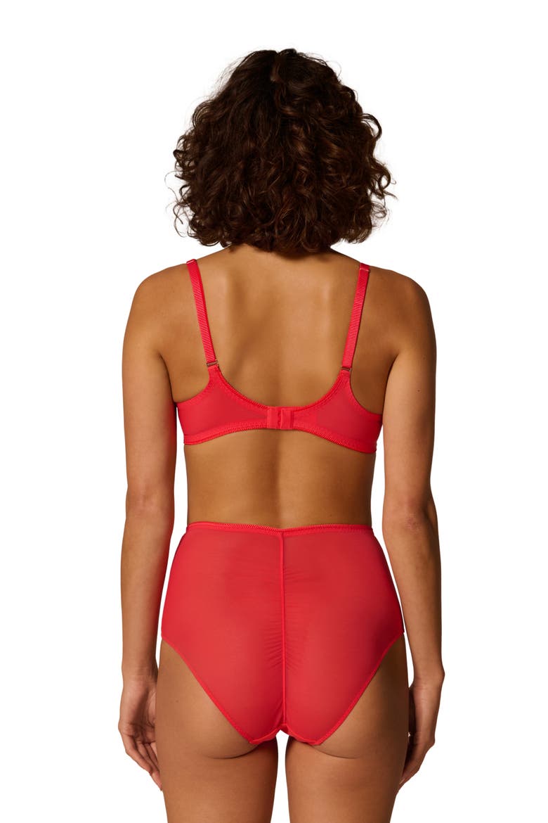Radieuse High Waist Briefs, Alternate, color, FLAMINGO