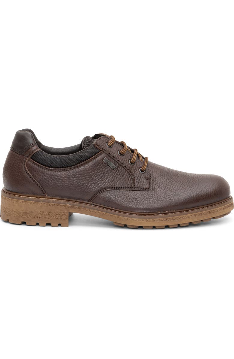 ara Farren Waterproof Plain Toe Derby, Alternate, color, Brown