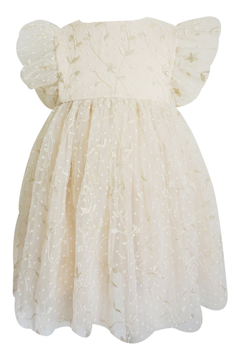 Floral Embroidered Tulle Overlay Dress, Main, color, IVORY