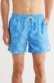 Vintage Summer Volley Swim Shorts