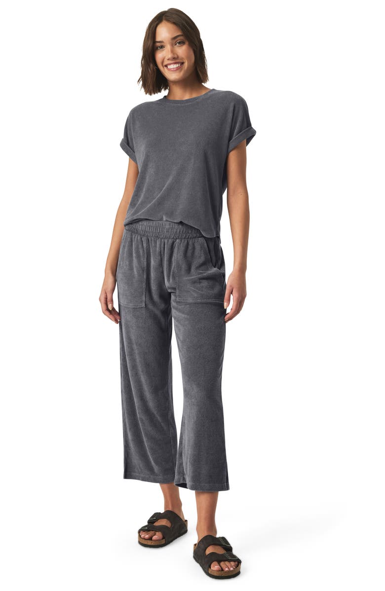 Splendid Taryn Terry Crop Pants, Alternate, color, Ink