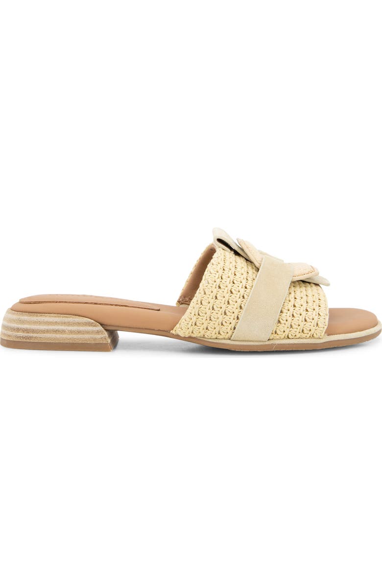 Gentle Souls Hudson Slide Sandal, Alternate, color, Natural Raffia