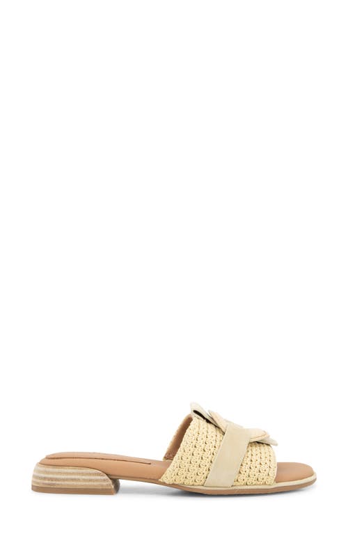 GENTLE SOULS BY KENNETH COLE GENTLE SOULS HUDSON SLIDE SANDAL