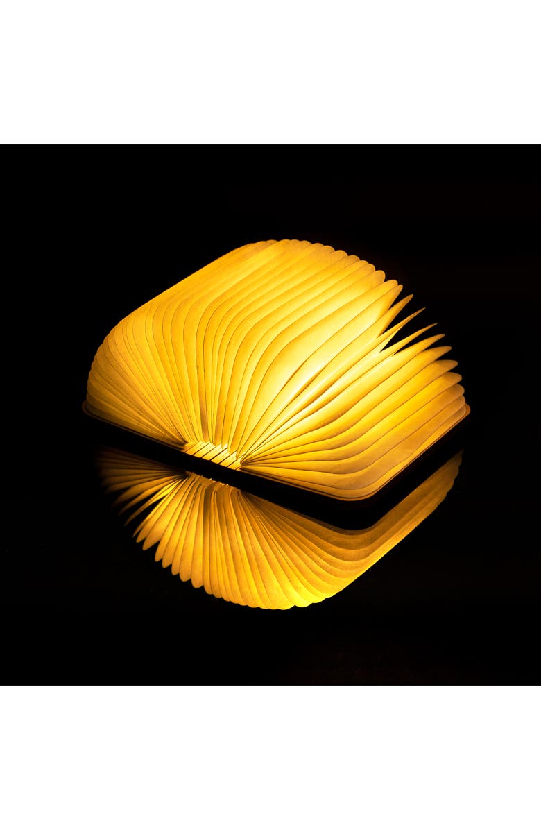 GINGKO Smart Book Light, Alternate, color, Mini