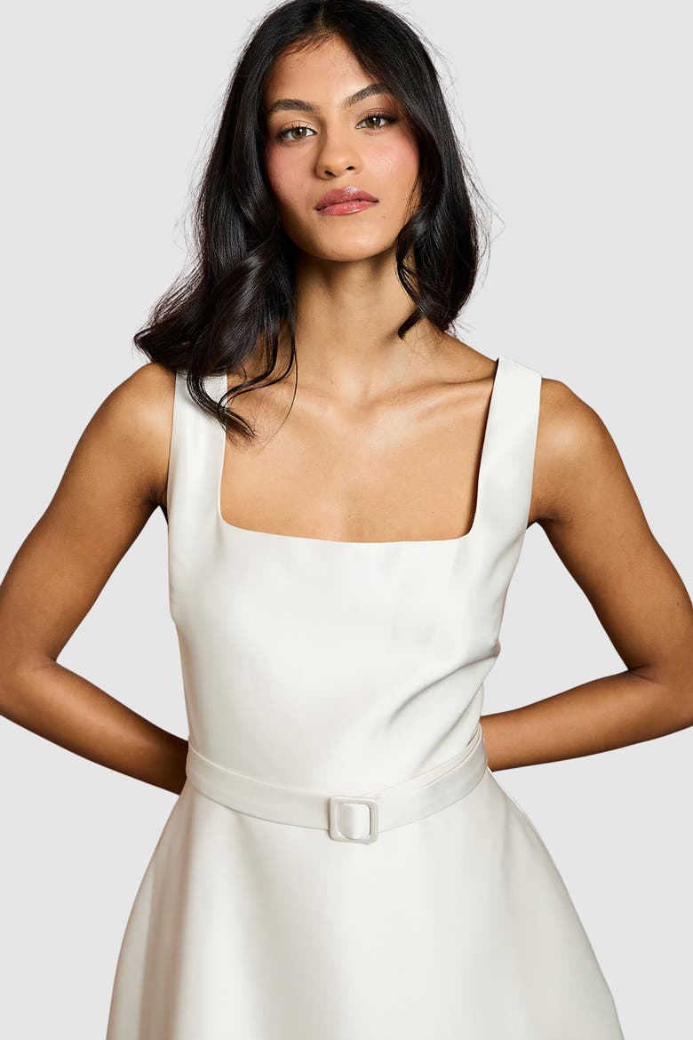 Petite Belted Midi Dress, Alternate, color, Champagne
