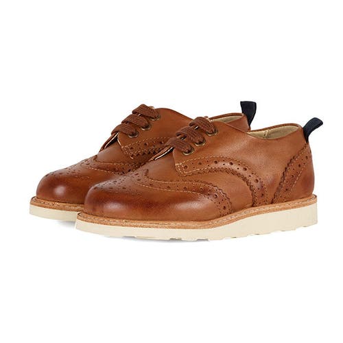 Young Soles Brando Kids Brogue Shoe In Multi