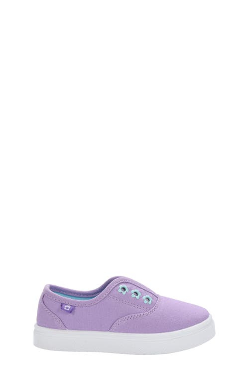 Oomphies Kids' Robin Slip-on Sneaker In Lavender