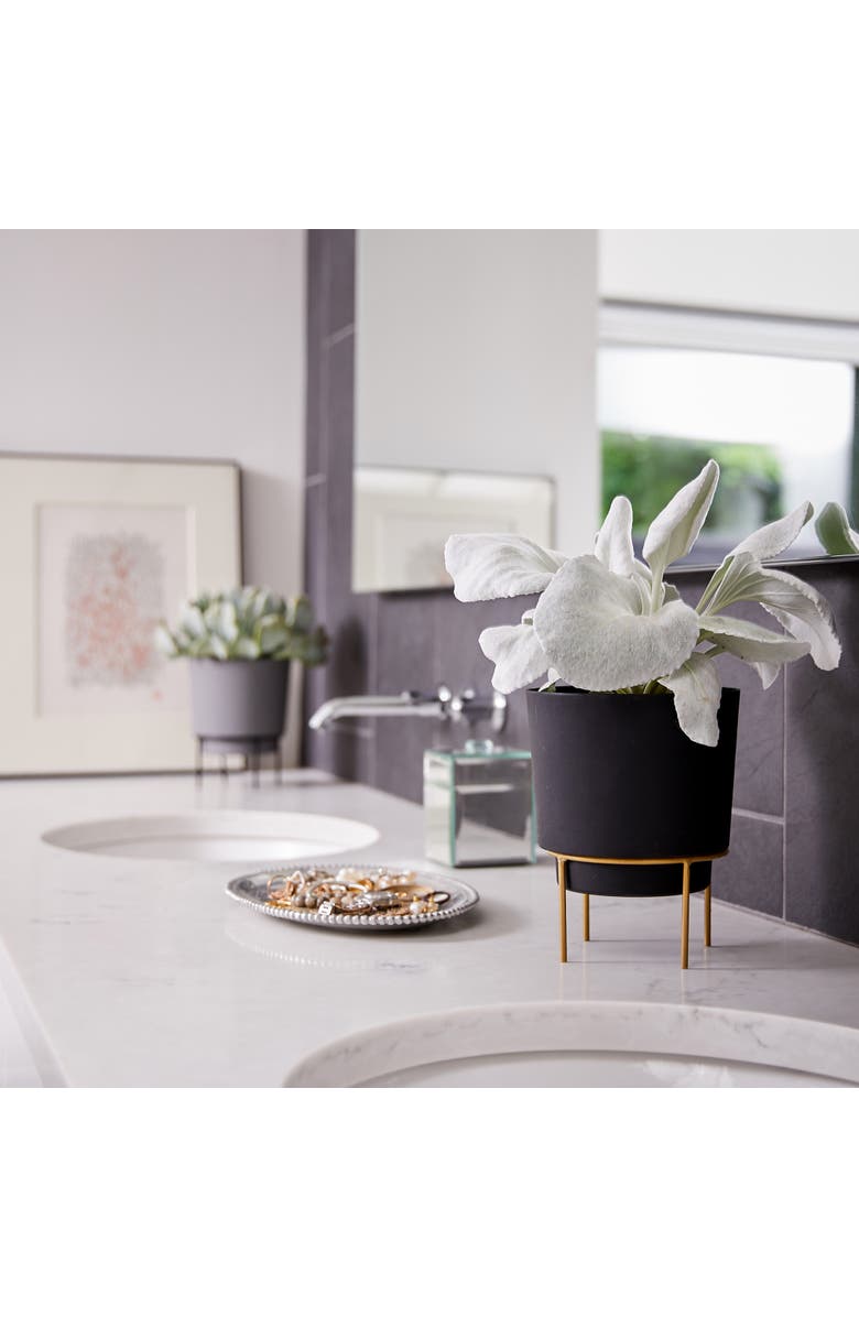 Bloem 6 Inch Hopson Round Planter with Gold Metal Stand, Black, Alternate, color, Black