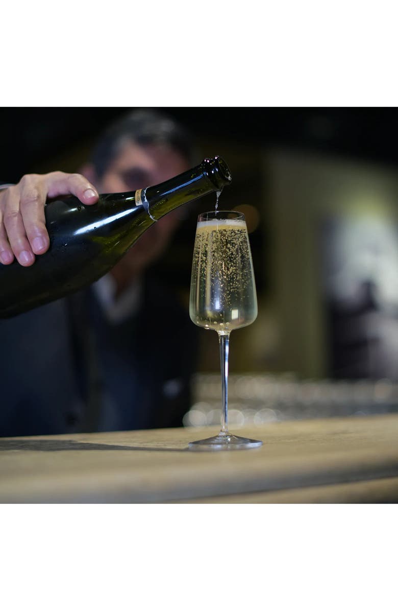 Luigi Bormioli Talismano Set of 4 Prosecco Flutes, Alternate, color, Clear