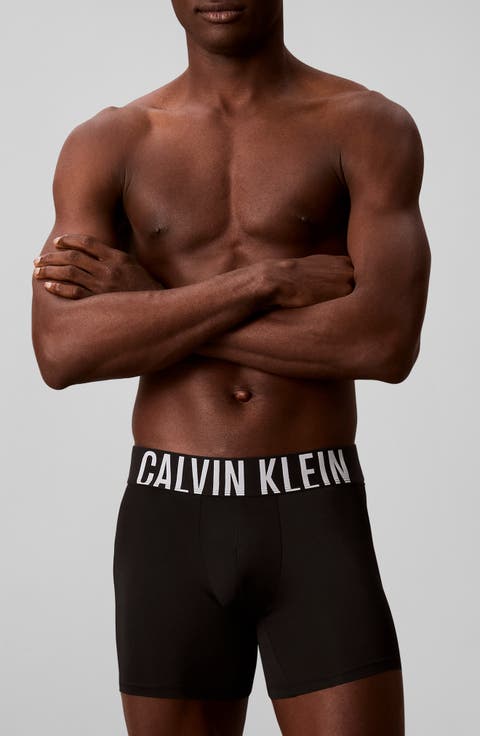 3-Pack Intense Power Microfiber Boxer Briefs