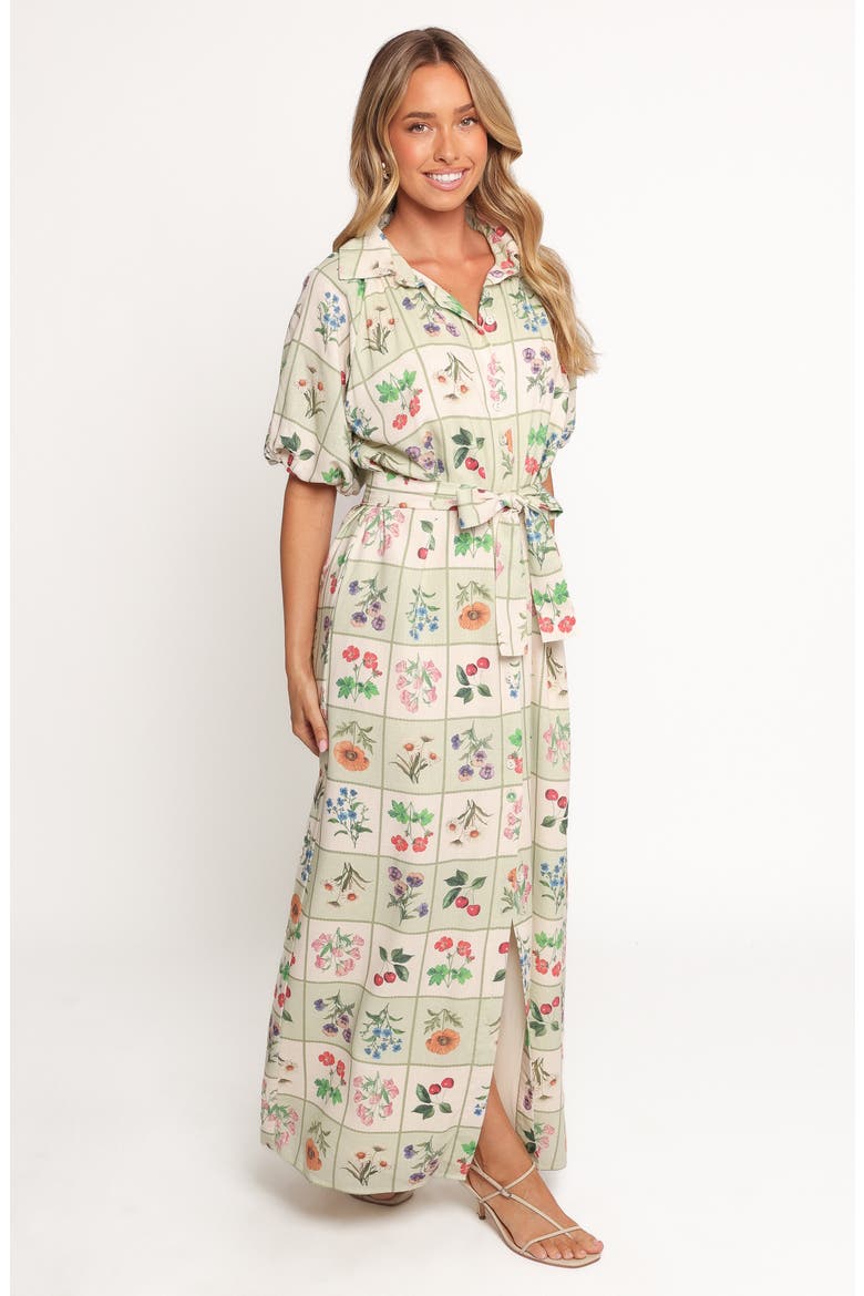 James Print Tie Waist Maxi Dress, Alternate, color, FLOWER MARKET