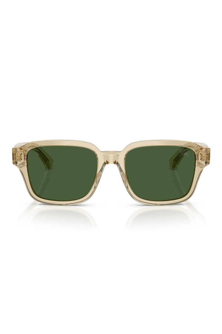 53mm Square Sunglasses, Main, color, BEIGE / DARK GREEN