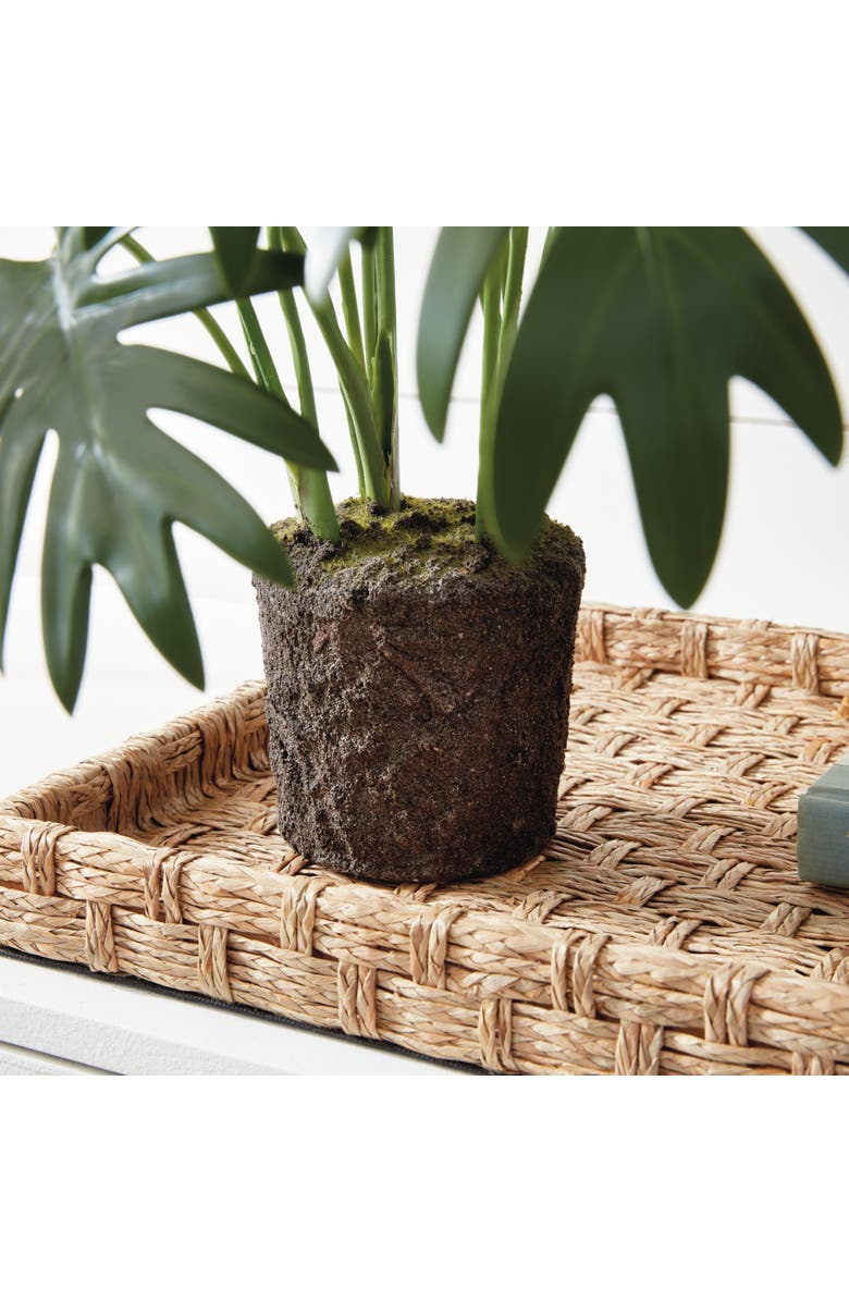 Napa Home & Garden Split Leaf Selloum Drop-In 22.5", Alternate, color, Green