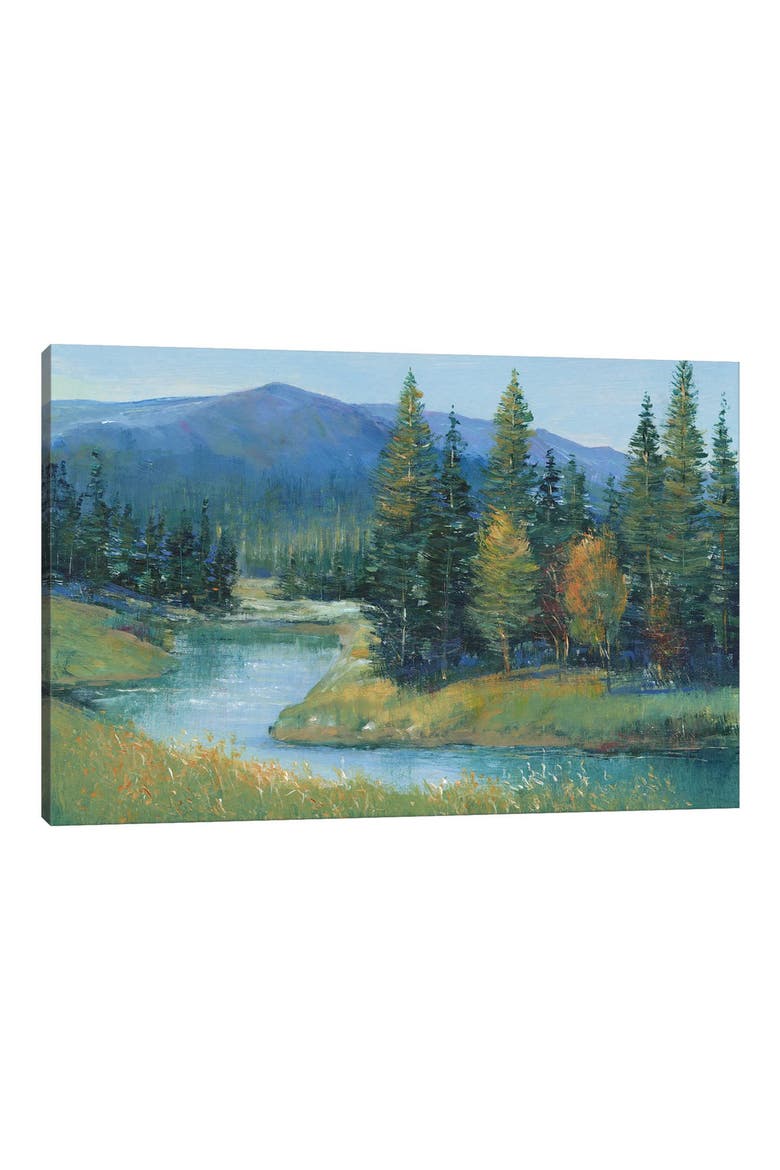 Trout Stream II by Tim OToole Canvas Wall Art, Main, color, GREEN MOUNTAIN VALLEY