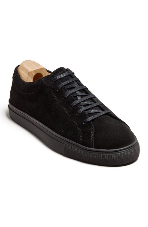 Myrqvist Oaxen Ii Sneakers In Black