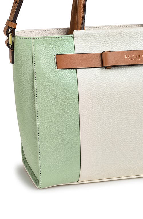 Radley Islington Way Colorblock Medium Tote Bag In Chalk