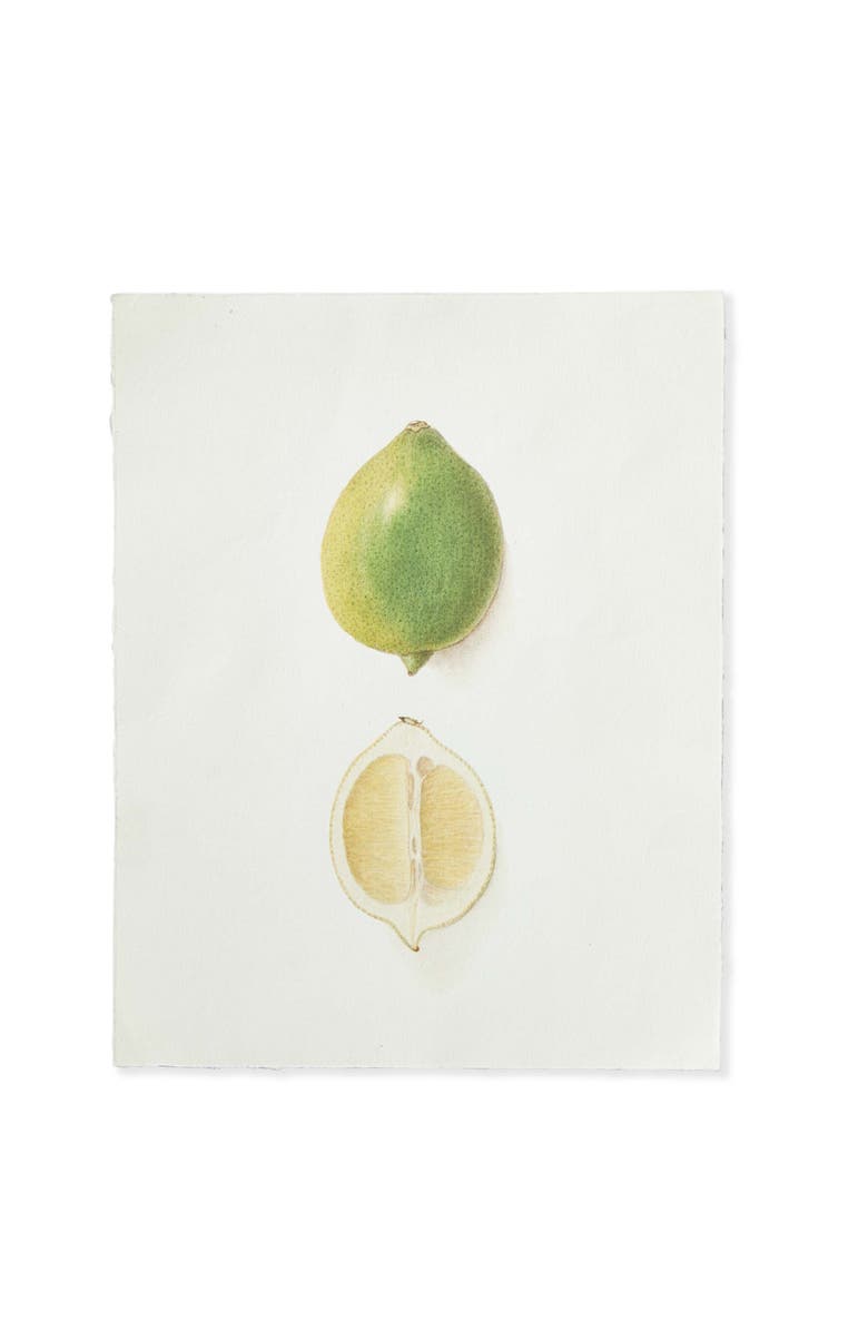 tag Lime Deckled Edge Print Wall Art Multicolor Indoor Decor, Main, color, 