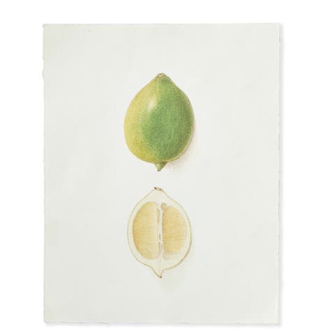 Lime Deckled Edge Print Wall Art Multicolor Indoor Decor