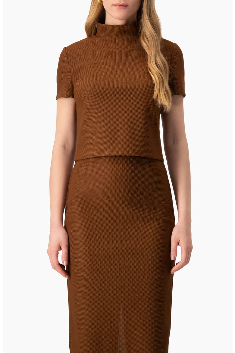 High-Neck Short Sleeve Cropped Top, Main, color, Light Brown