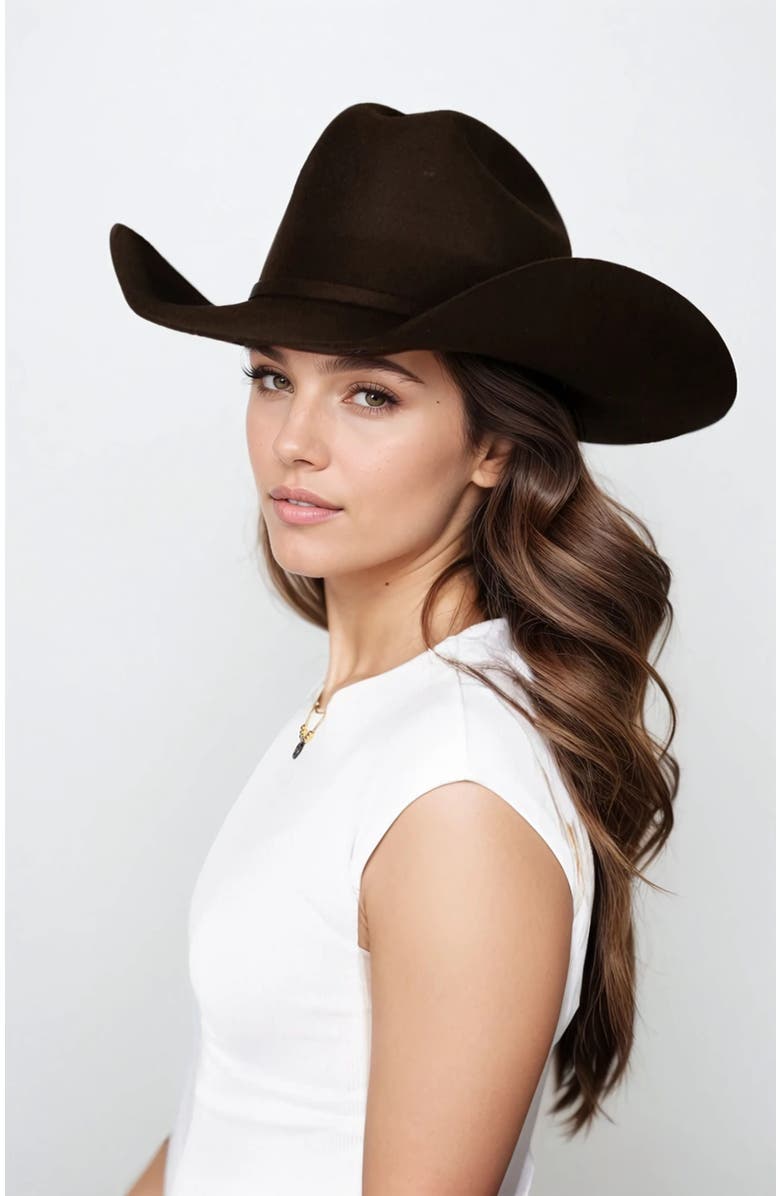 Manela Patron 4X Premier Cowboy Hat, Alternate, color, Brown