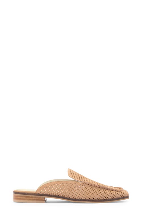 Dolce Vita Icarus Womens Slide Slip On Mules In Rose Perforated Suede
