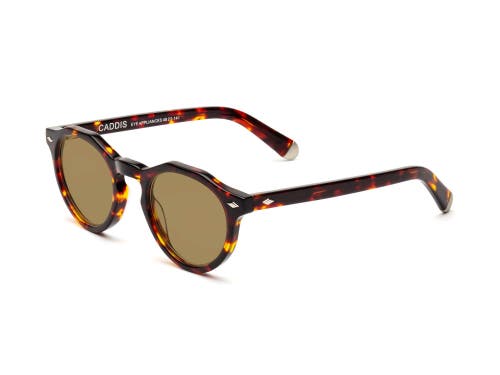 Caddis Dogleg | Polarized Sunglasses In Brown
