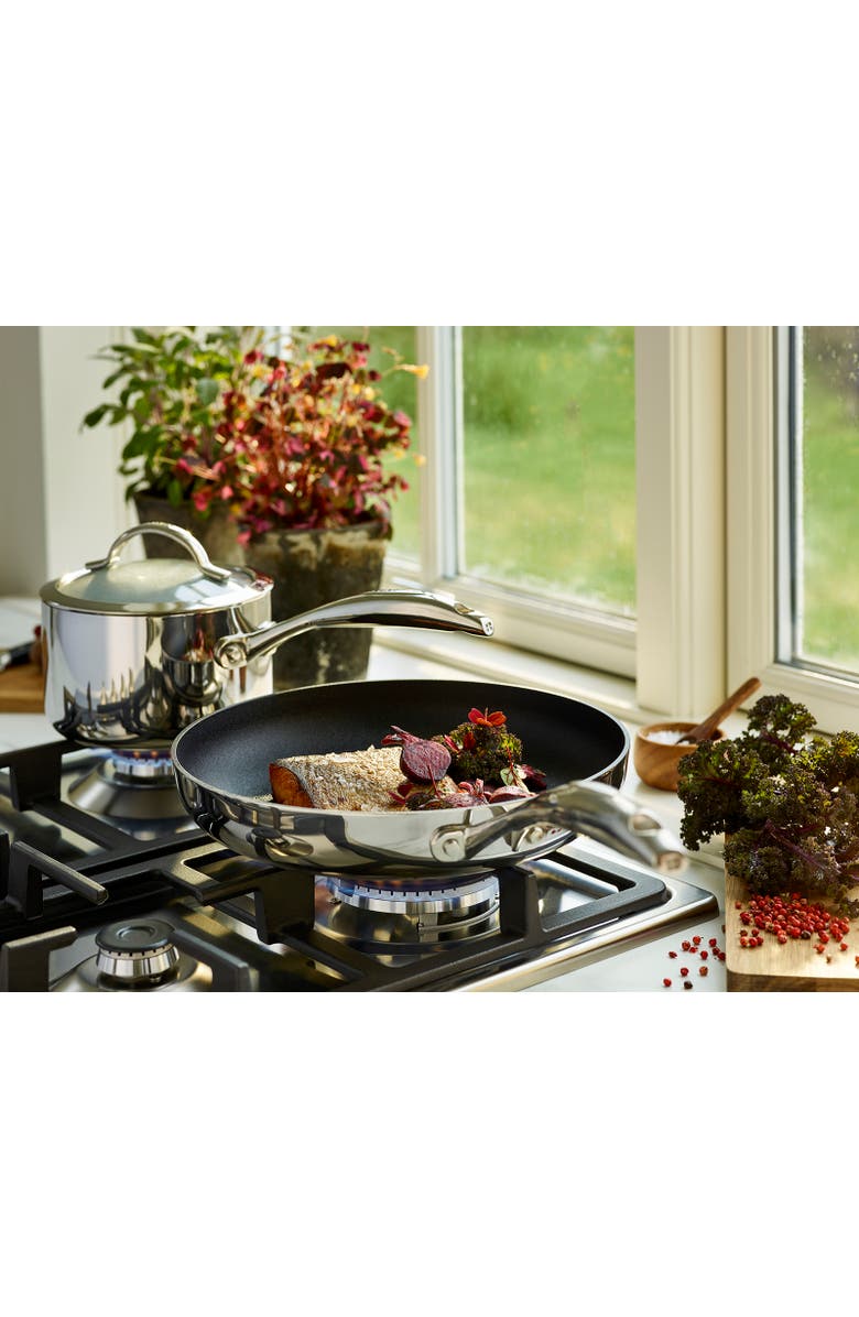 Scanpan Haptiq Stainless Steel Nonstick 10.25-Inch Fry Pan, Alternate, color,