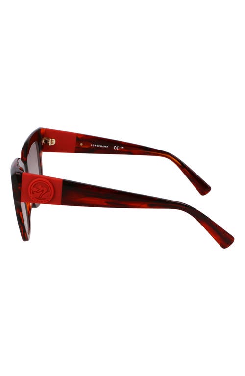 Longchamp Medallion 52mm Modified Rectangular Sunglasses In Striped Red